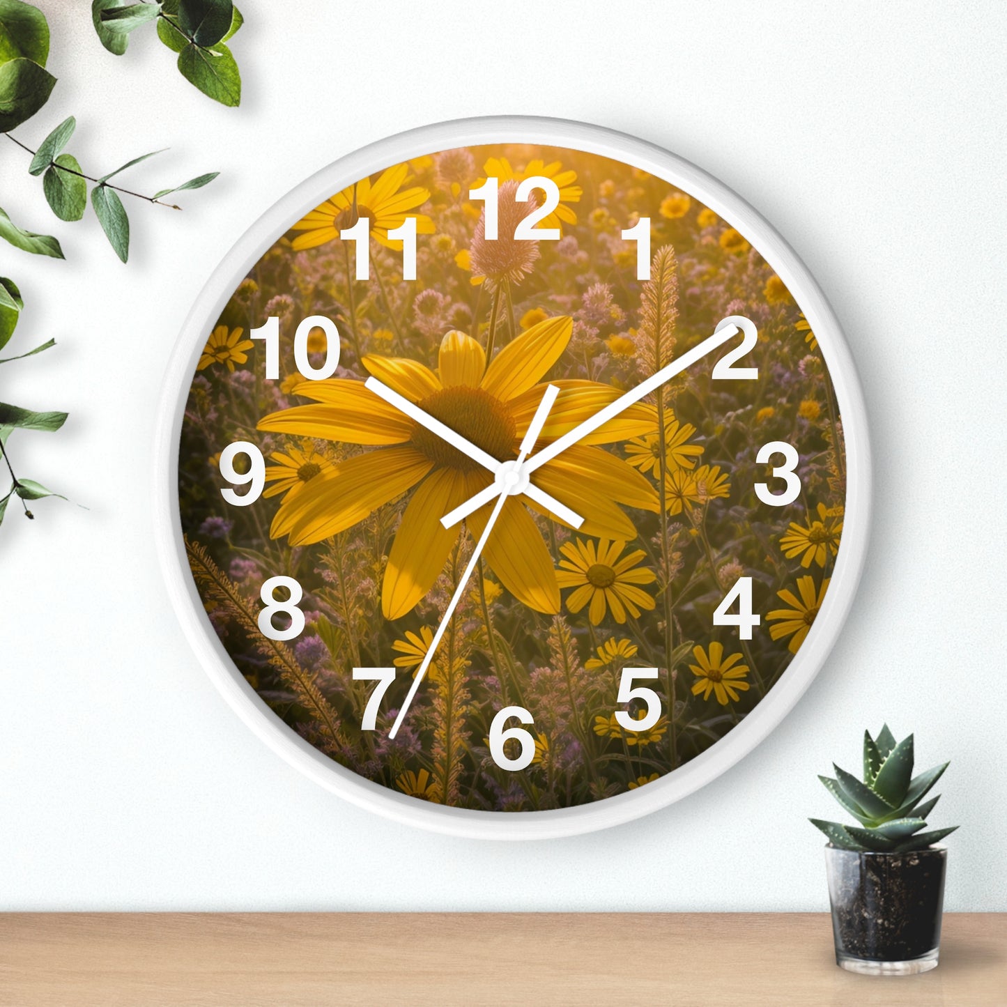 Narrow leaf Clock (SP Photography Collection)