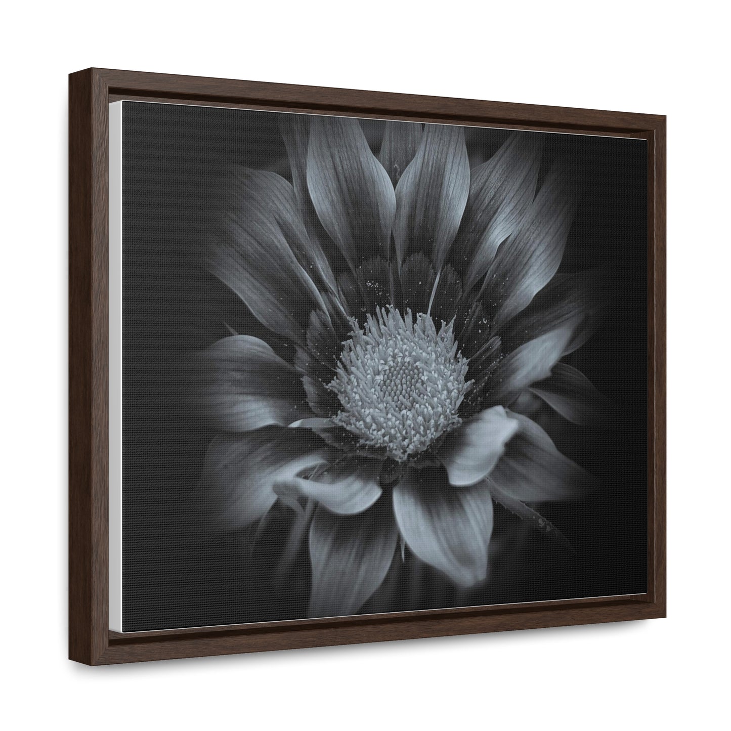 Midnight Bloom Horizontal Frame (SP Photography Collection)