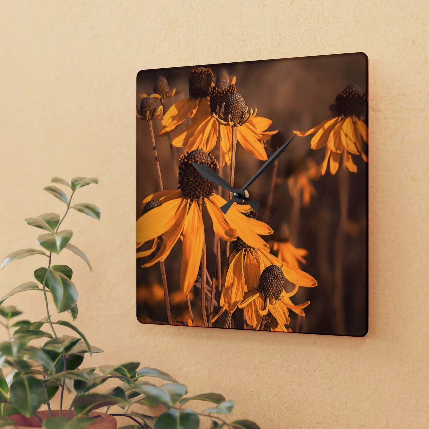 Coneflower Wall Clock (SP Photography Collection)