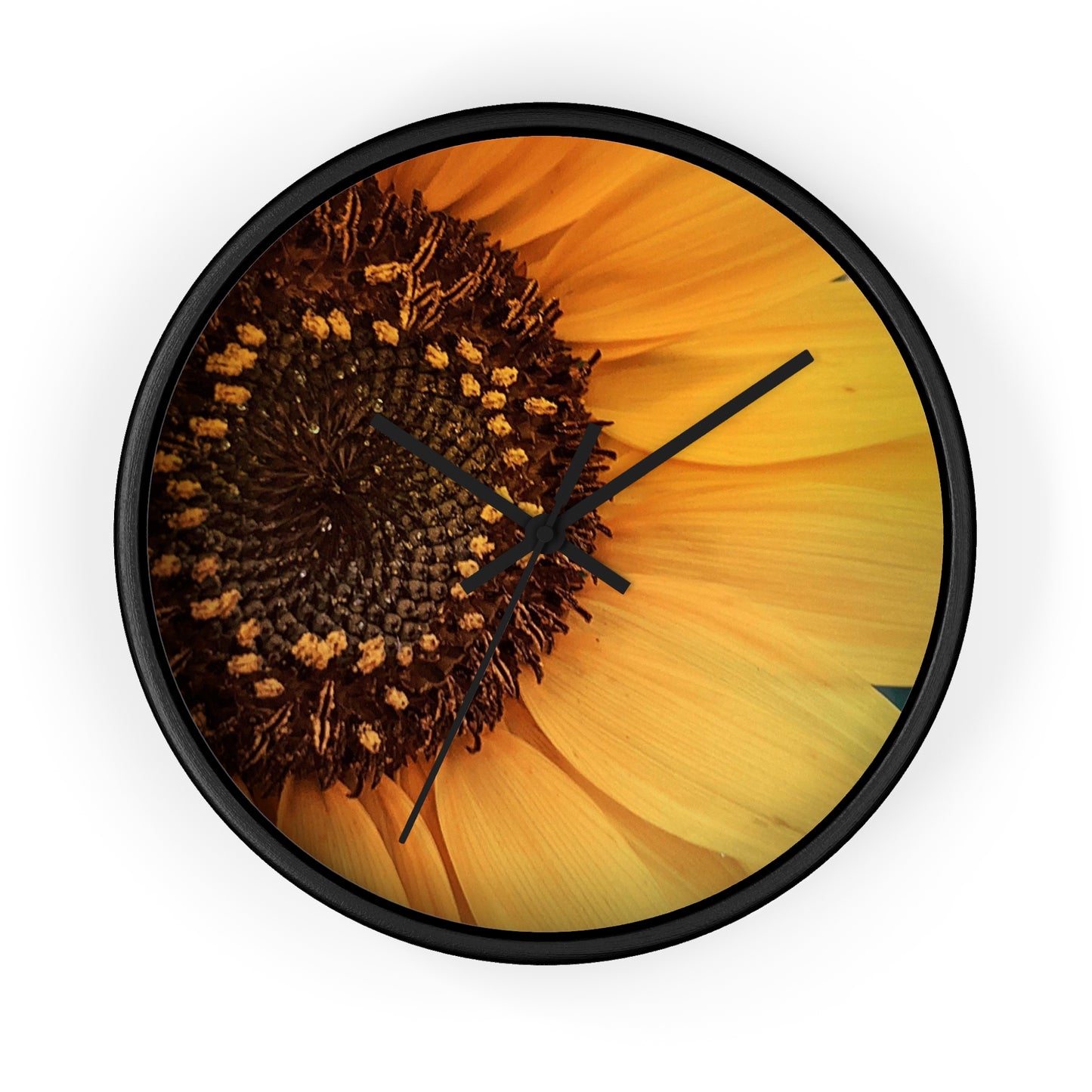 Sun Ray Sunflower Wall Clock (SP Photography Collection)