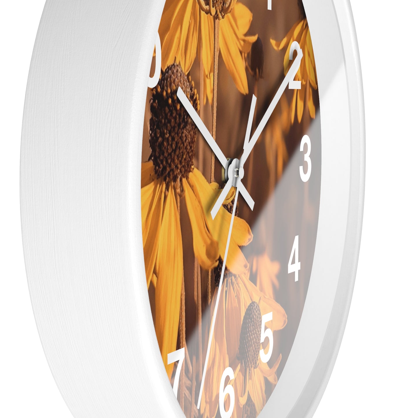 Coneflower Clock (SP Photography Collection)