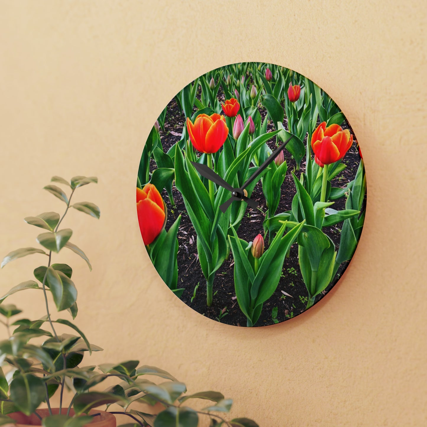 Red Tulips Acrylic Wall Clock (SP Photography Collection)