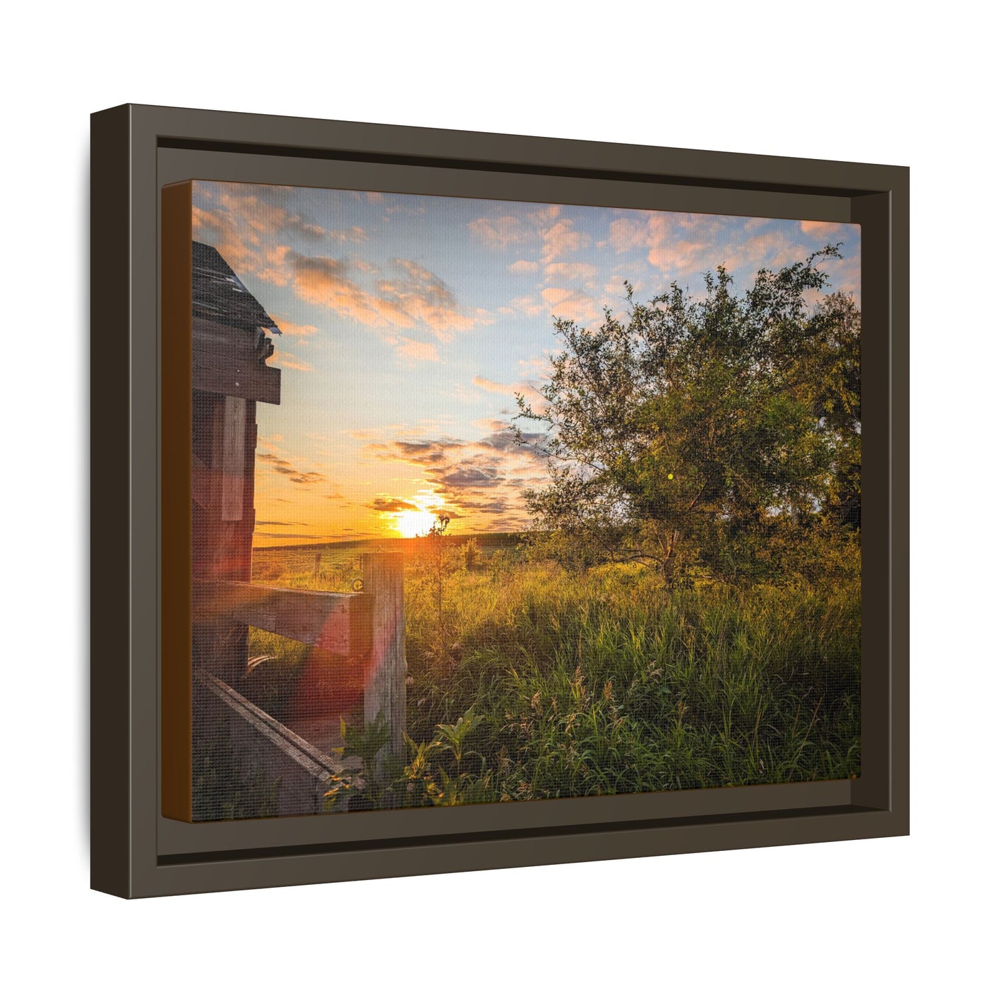 Fence Matte Canvas, Framed (Multi-color) (SP Photography Collection)