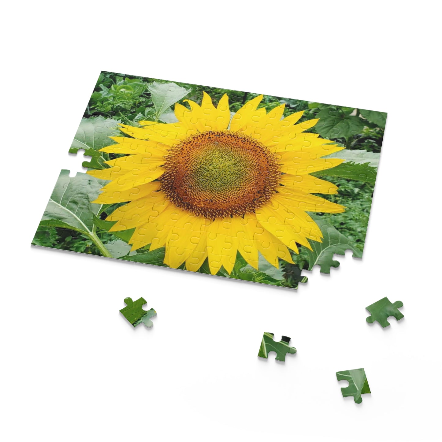 Yellow Sunflower Puzzle (Enchanted Exposures By Tammy Lyne) (Collection 120, 252, 500-Piece)