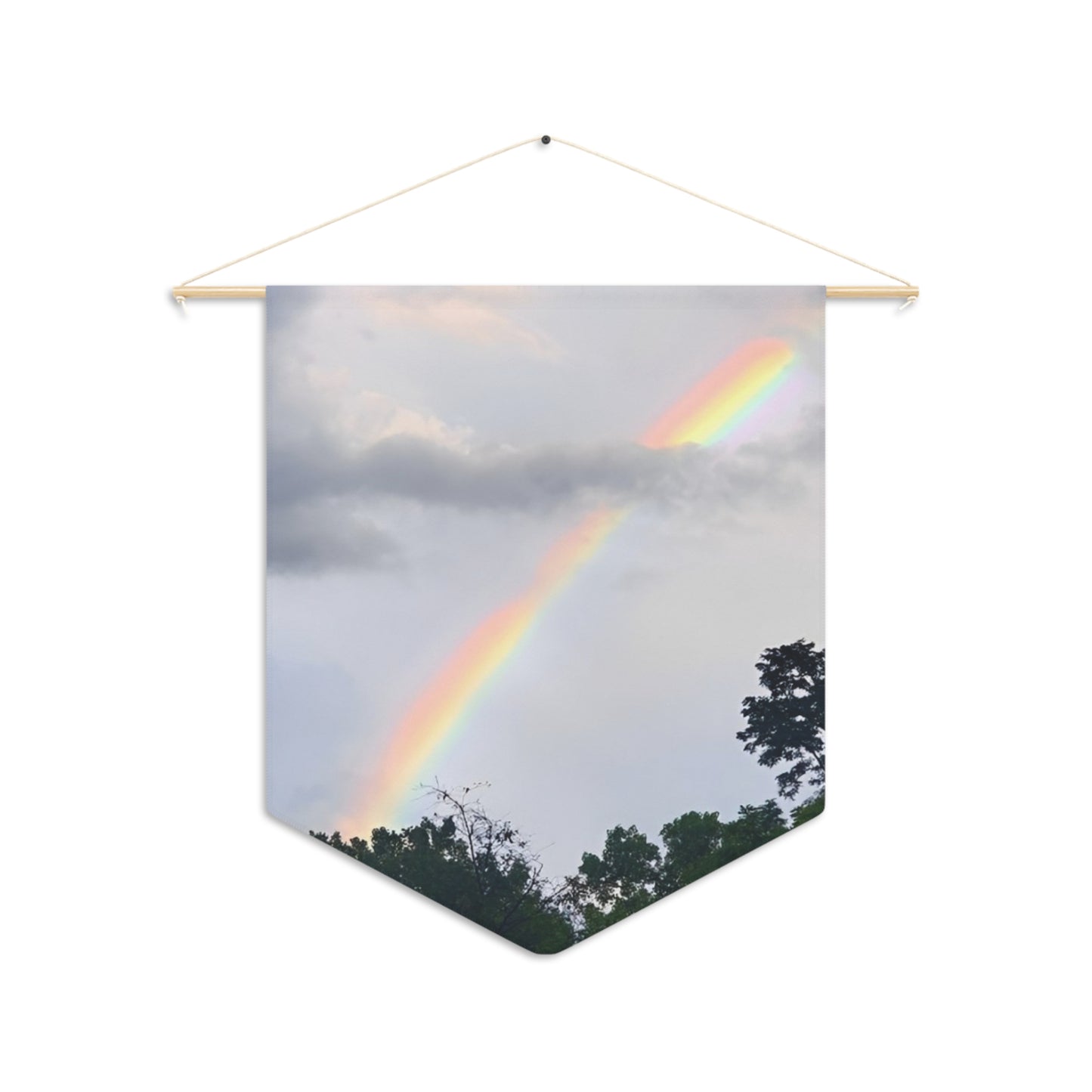 Rainbow Flag Pennant (Enchanted Exposures By Tammy Lyne)