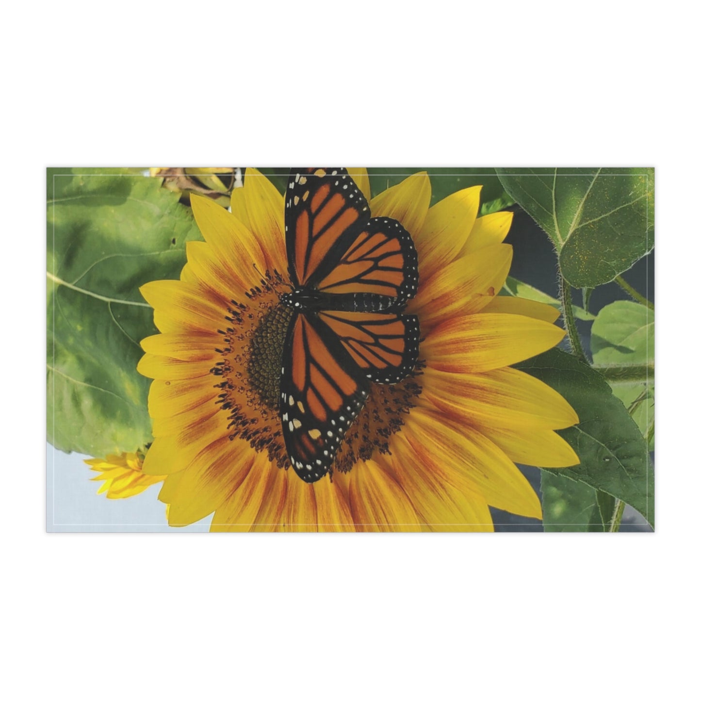 Happy Sunflower Kitchen Towel (Enchanted Exposures By Tammy Lyne)