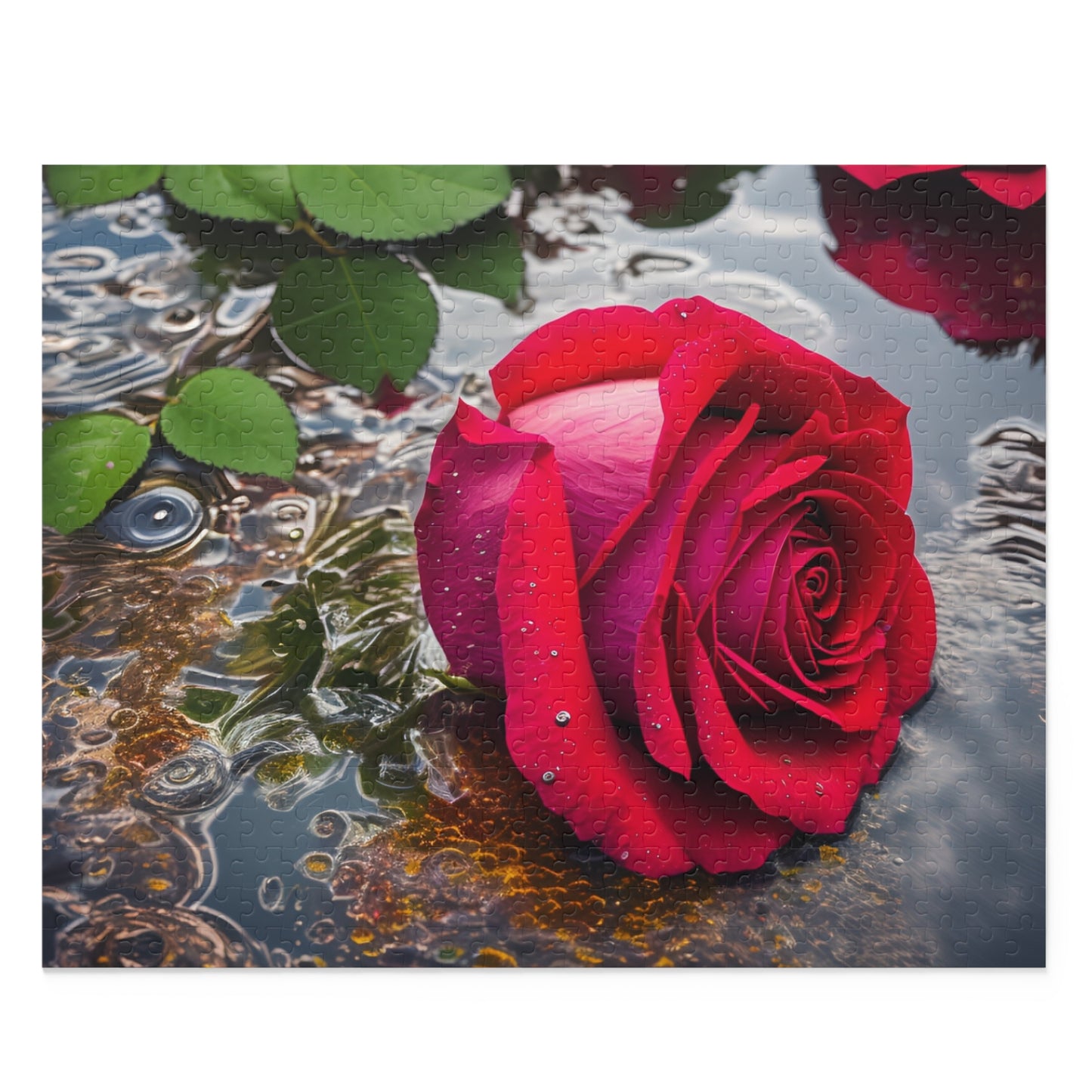 Red Rose Puzzle (SP Photography Collection) ( 120, 252, 500-Piece)