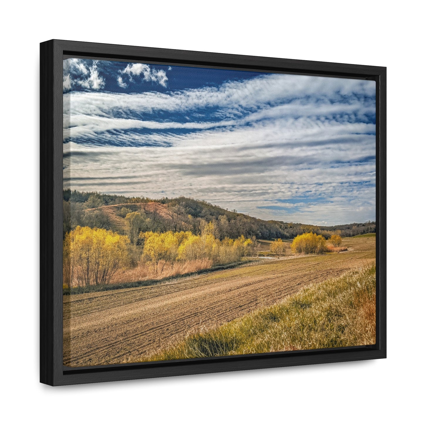 Dirt Road Horizontal Frame (SP Photography Collection)