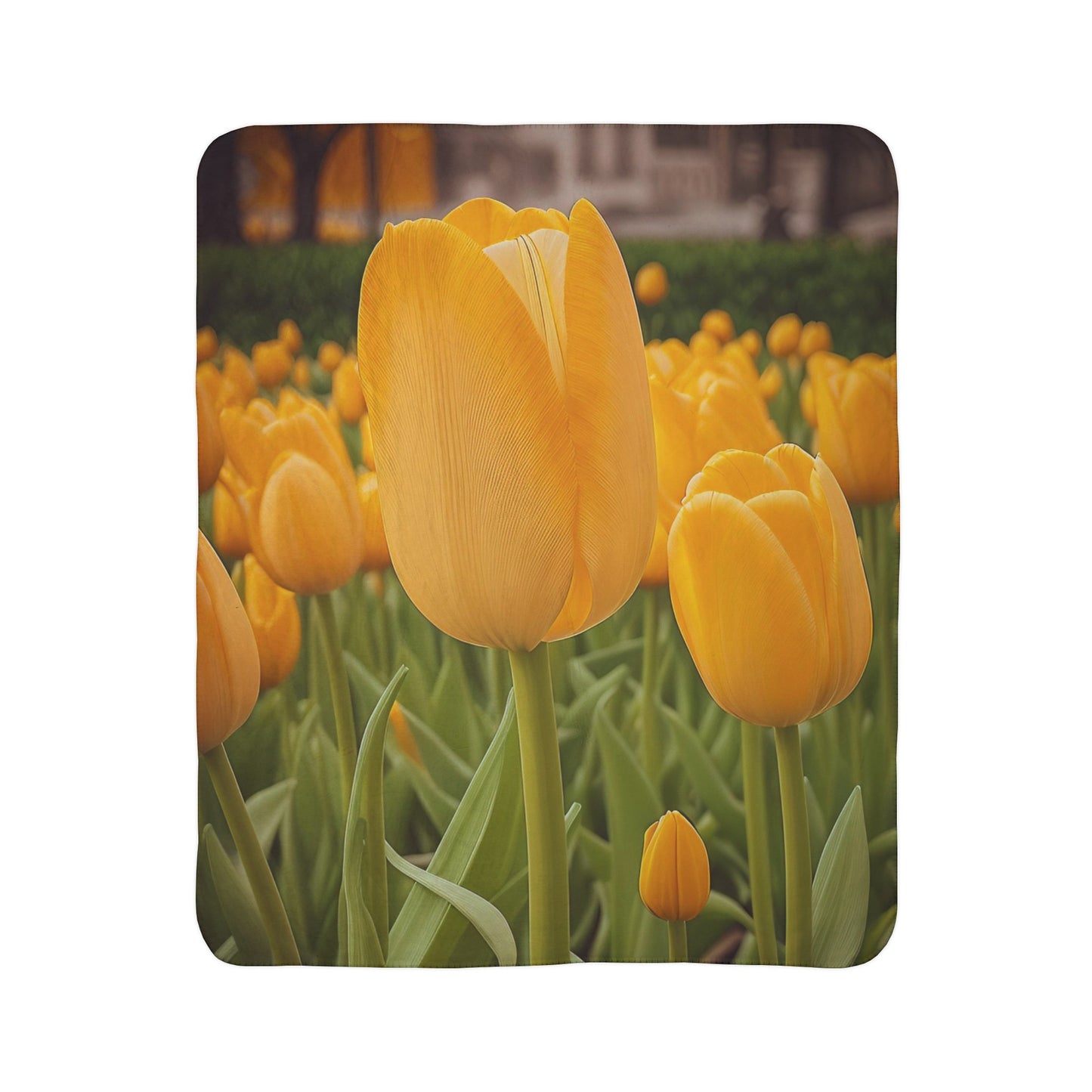 Yellow Tulip Fleece Sherpa Blanket (SP Photography Collection)