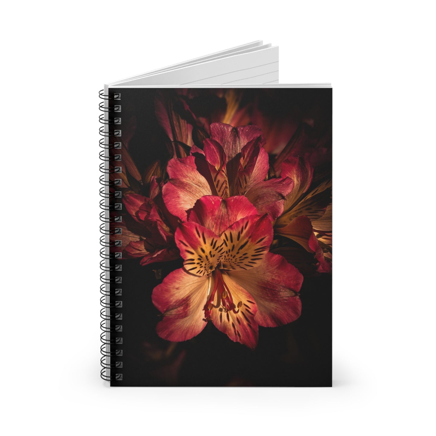 Pink Lily Notebook (SP Photography Collection)