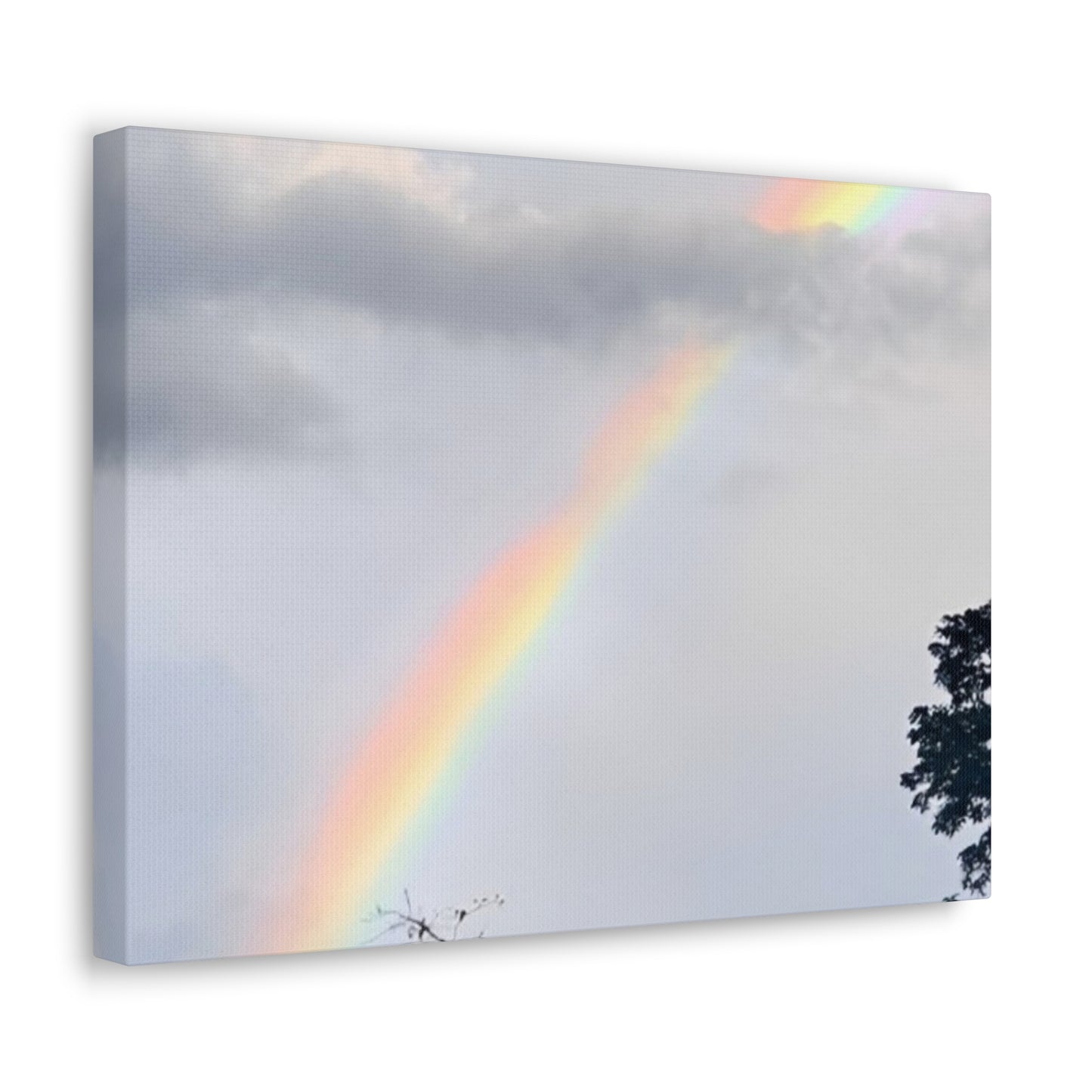 Rainbow Canvas Gallery Wraps Black (Enchanted Exposures By Tammy Lyne)