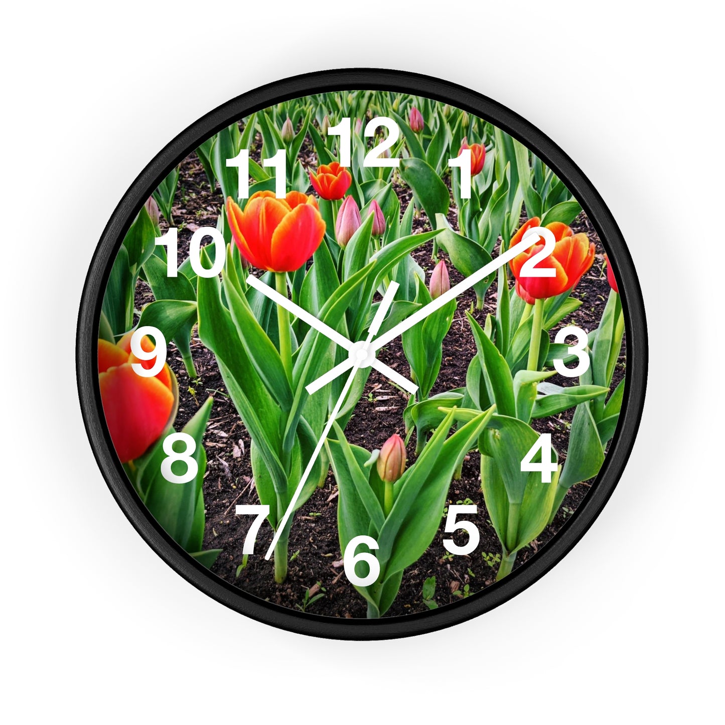 Red Tulips Wall Clock (SP Photography Collection)