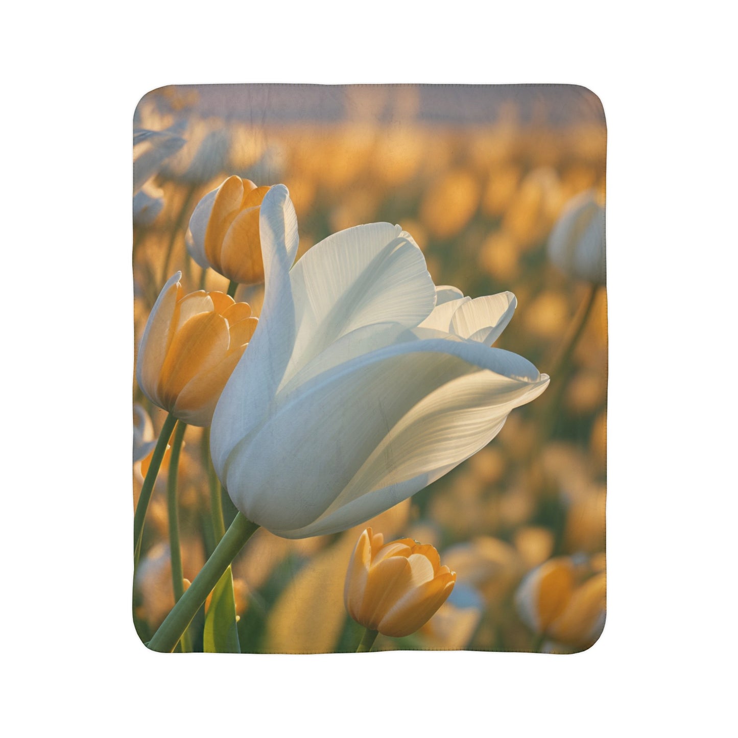 White Flower Tulip Fleece Sherpa Blanket (SP Photography Collection)