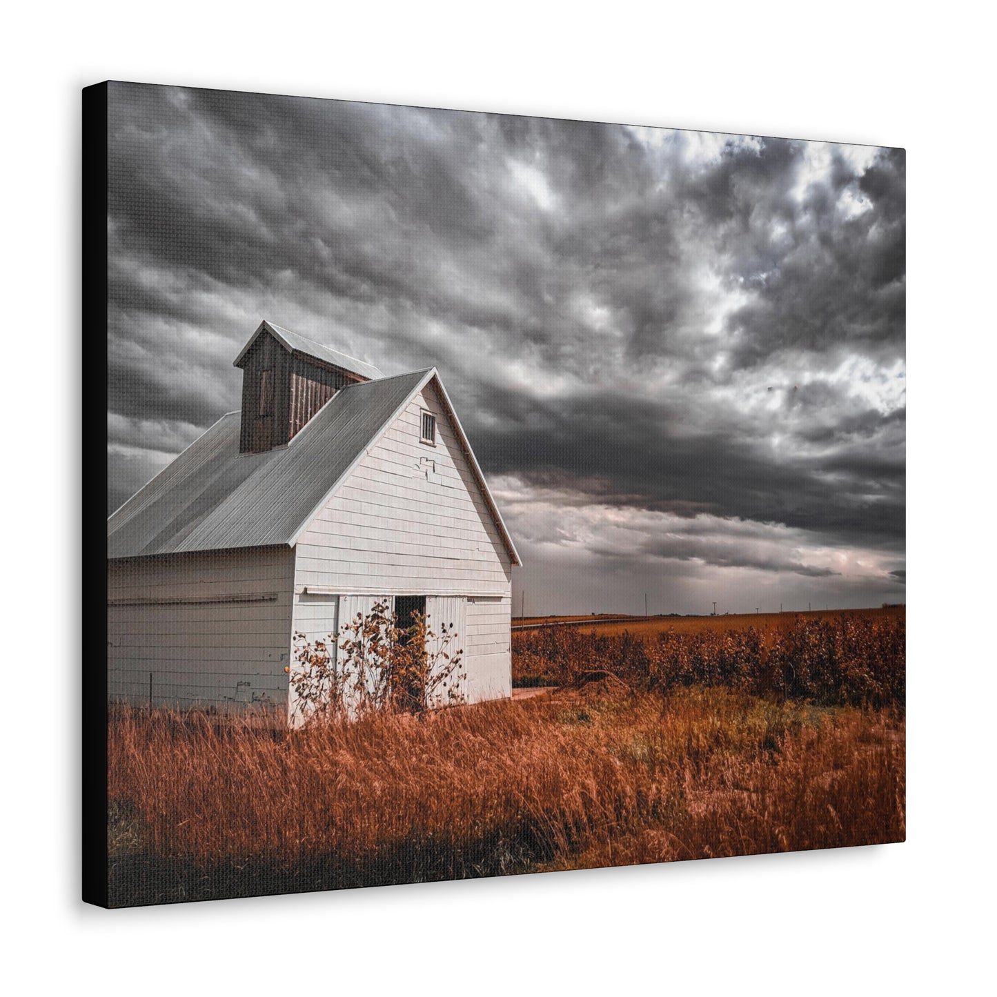 Field Barn Wrap Canvas (SP Photography Collection)