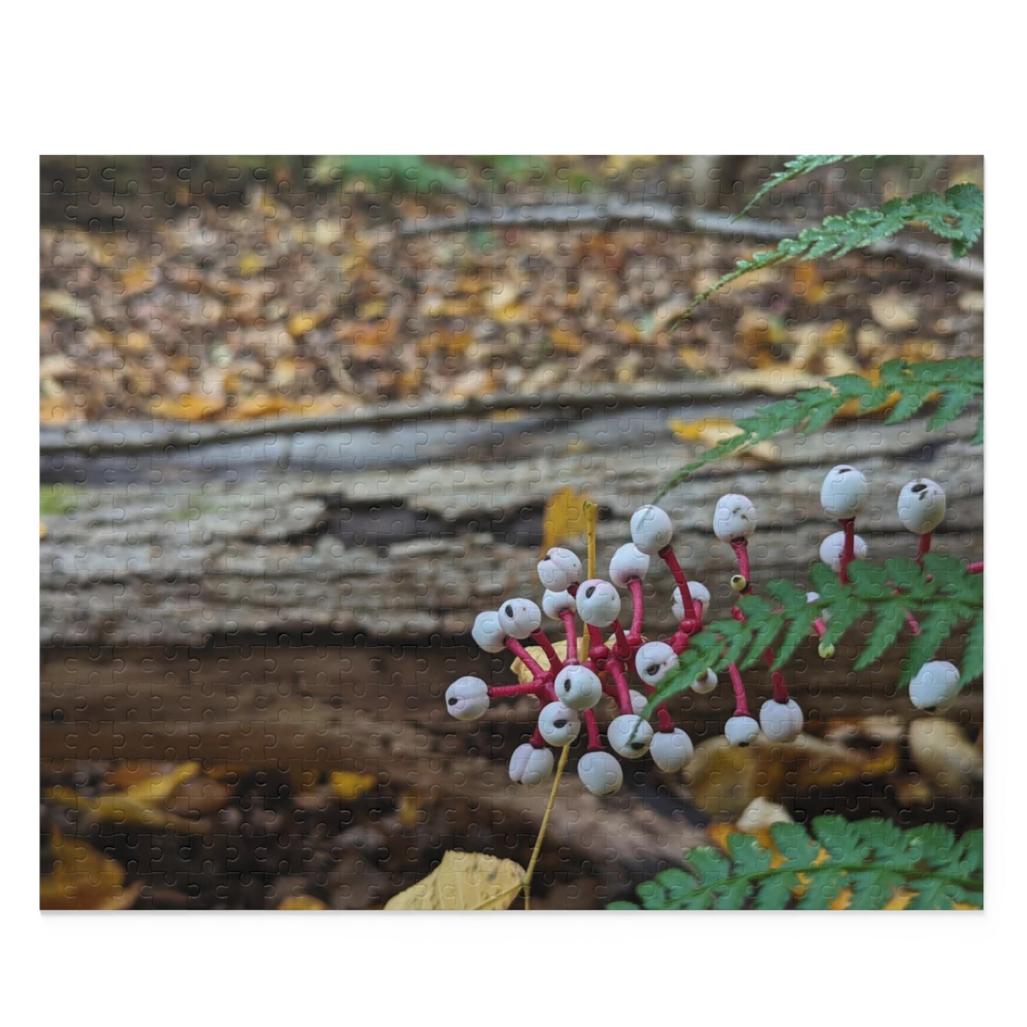 Baneberry Puzzle (Savor The Moment Collection 120, 252, 500-Piece)