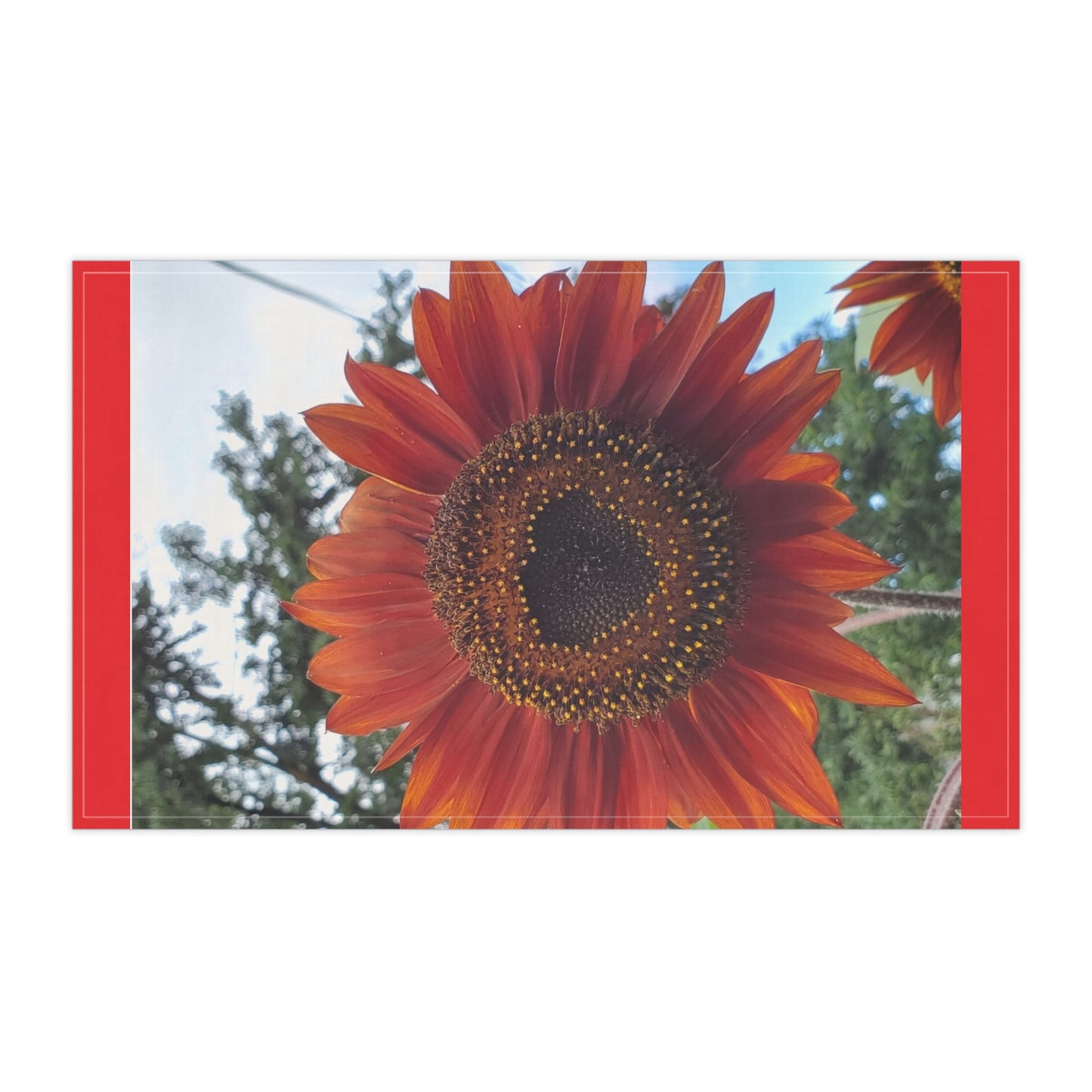 Heart Sunflower Kitchen Towel (Enchanted Exposures By Tammy Lyne)