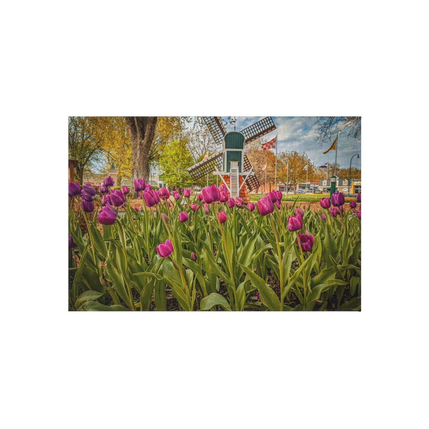 Windmill Tulips outdoor Rug (SP Photography Collection)