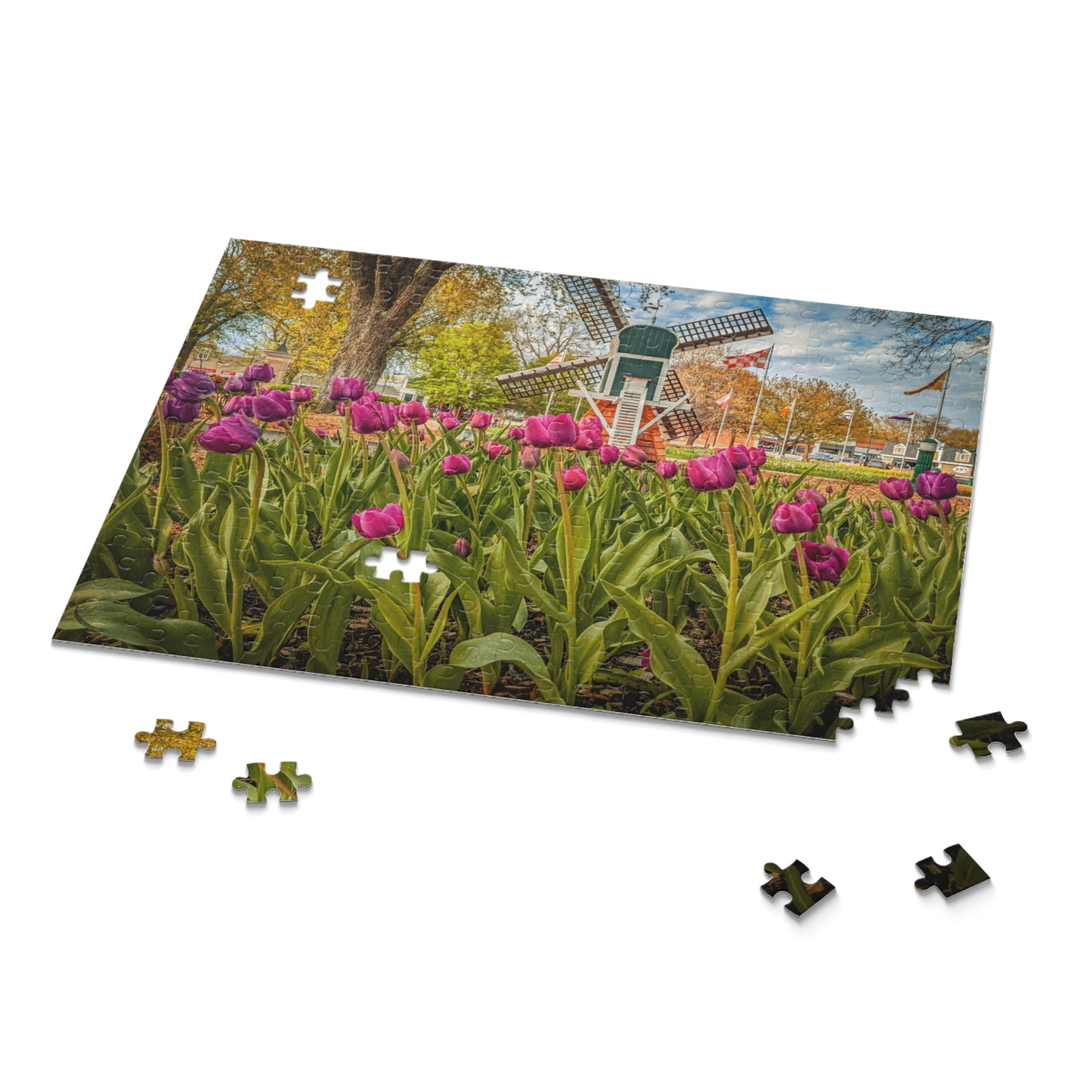 Windmill Tulip Puzzle (SP Photography Collection 120, 252, 500-Piece)