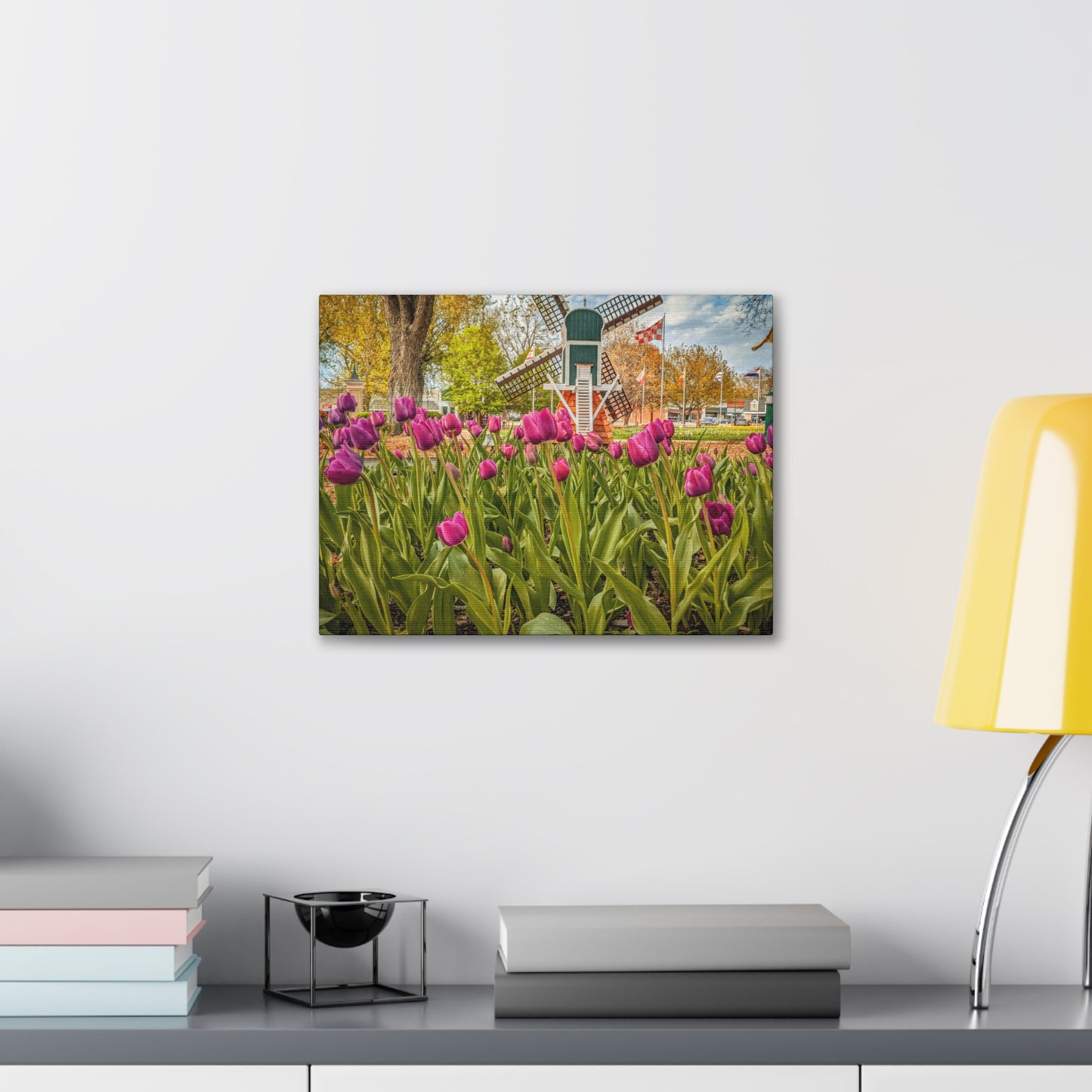 Windmill Tulips Canvas Gallery Wraps Black(SP Photography)