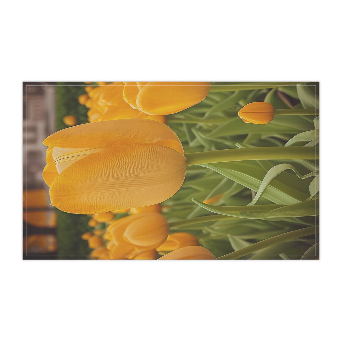 Yellow Tulip Kitchen Towel (SP Photography Collection)