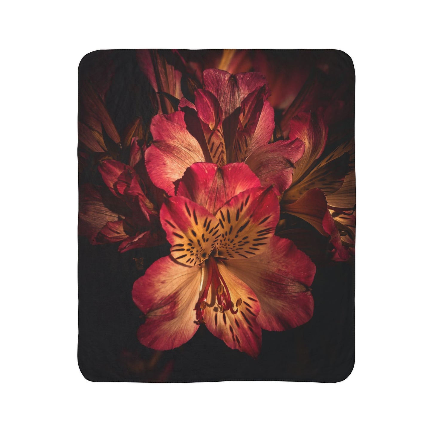 Pink Lily Fleece Sherpa Blanket (SP Photography Collection)