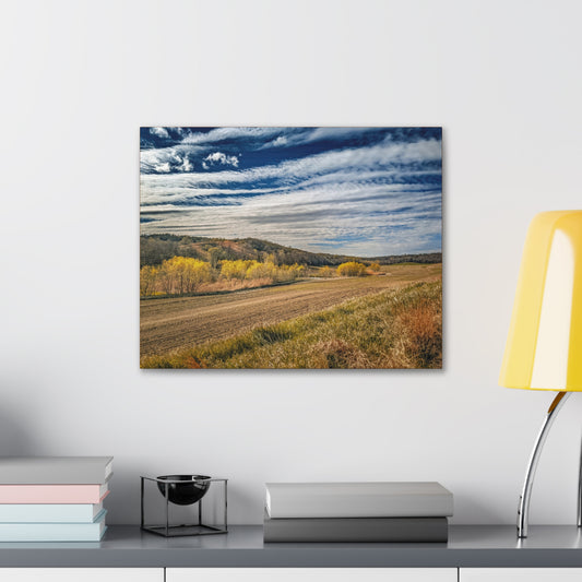 Dirt Road Wrap Canvas (SP Photography Collection) BROWN