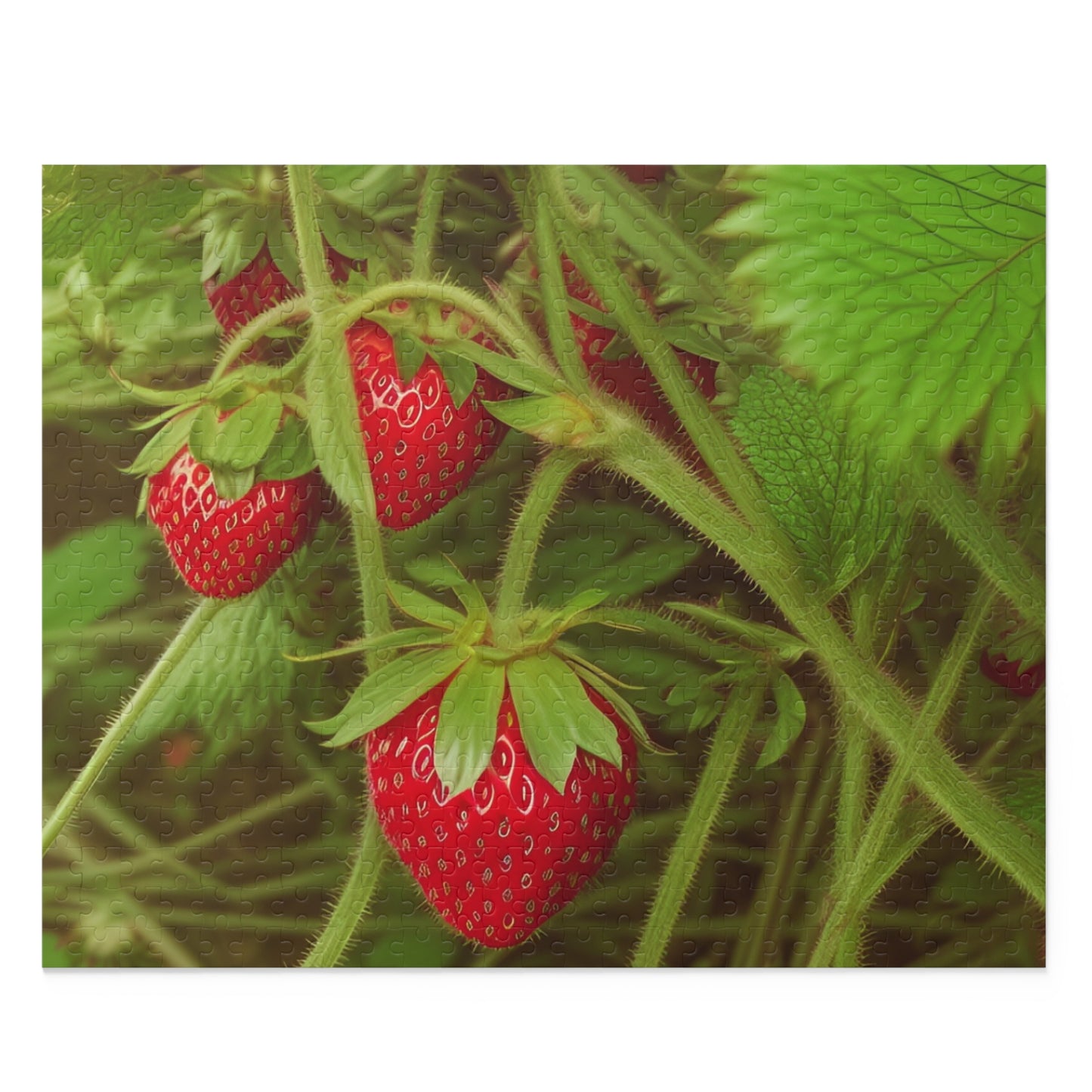 Strawberry Puzzle (SP Photography Collection 120, 252, 500-Piece)