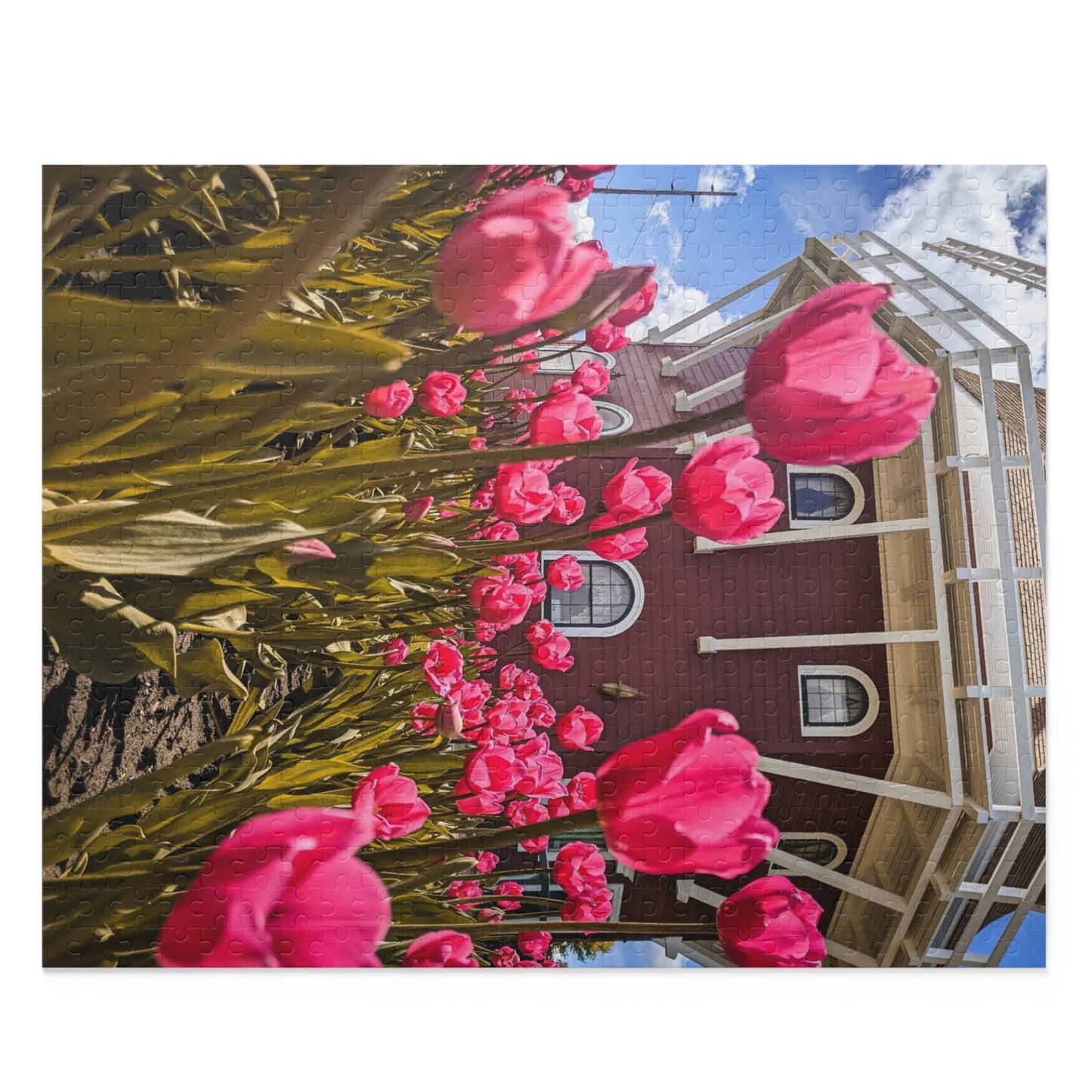 Windmill Pink Tulips Puzzle (SP Photography Collection) (120, 252, 500-Piece)