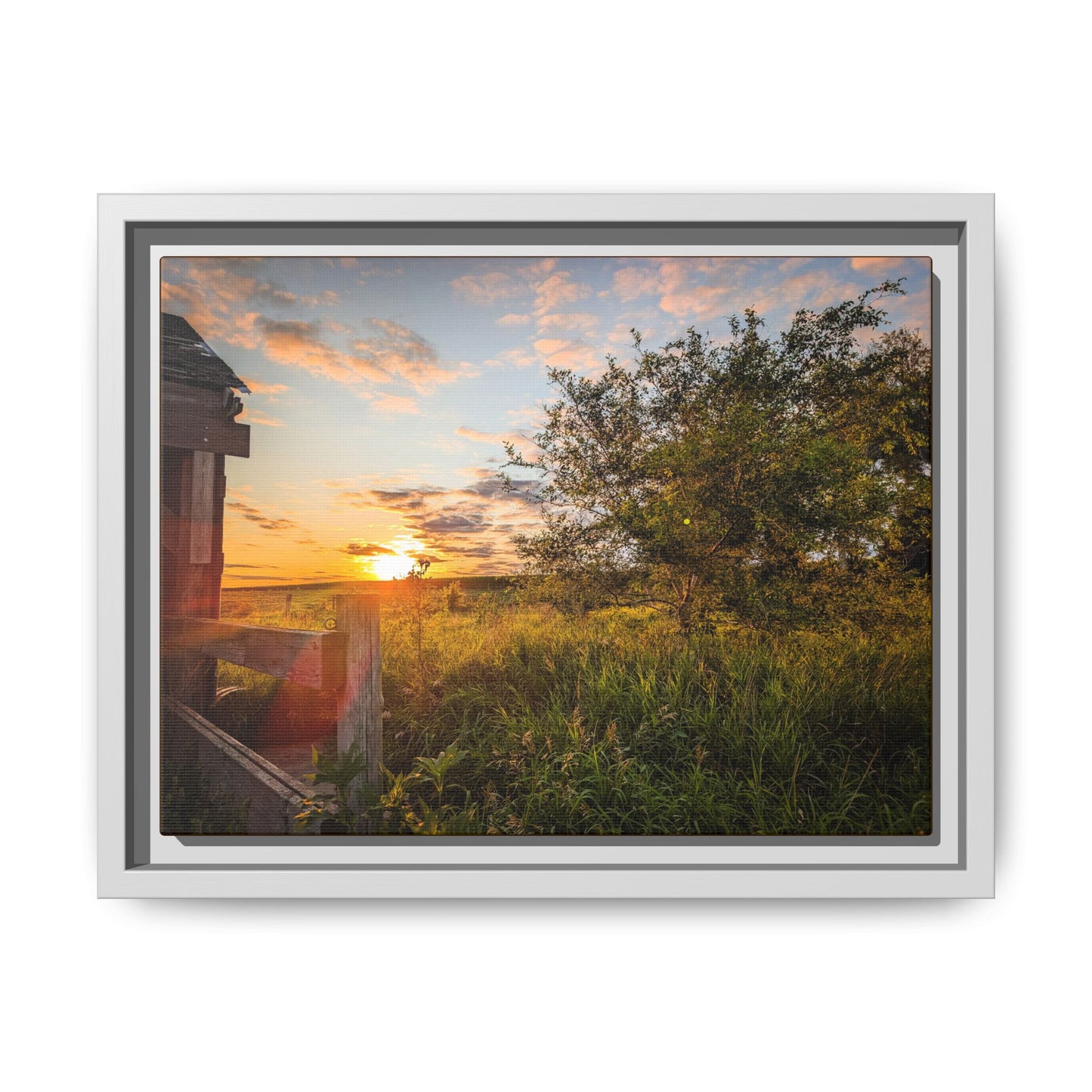 Fence Matte Canvas, Framed (Multi-color) (SP Photography Collection)