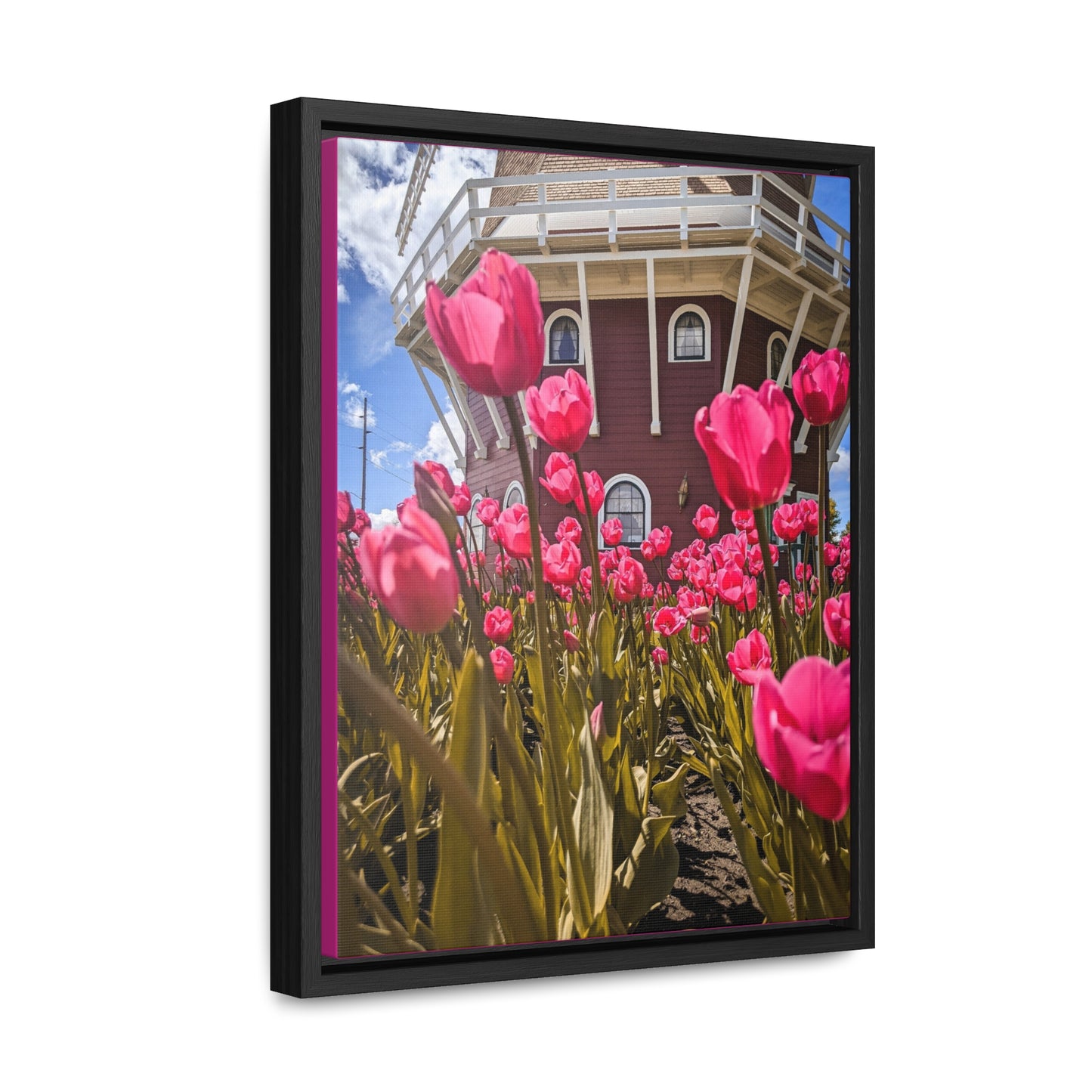 Windmill Pink Tulips Wraps, Vertical Frame (SP Photography Collection) PINK