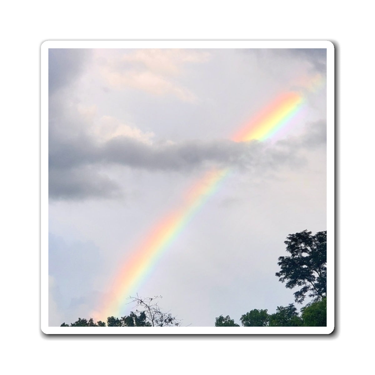 Rainbow Magnet (Enchanted Exposures By Tammy Lyne)