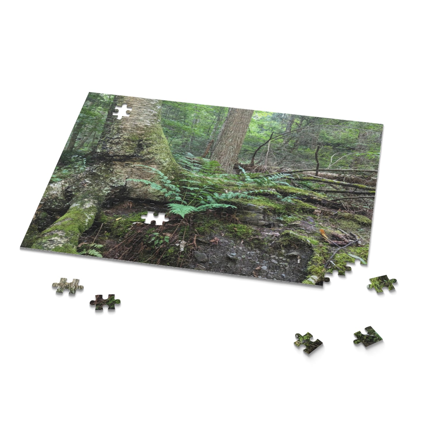 Forest Fern Puzzle (Savor The Moment Collection 120, 252, 500-Piece)