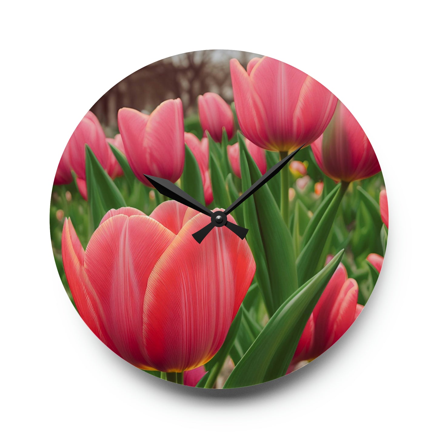 Tulips Acrylic Wall Clock (SP Photography Collection)