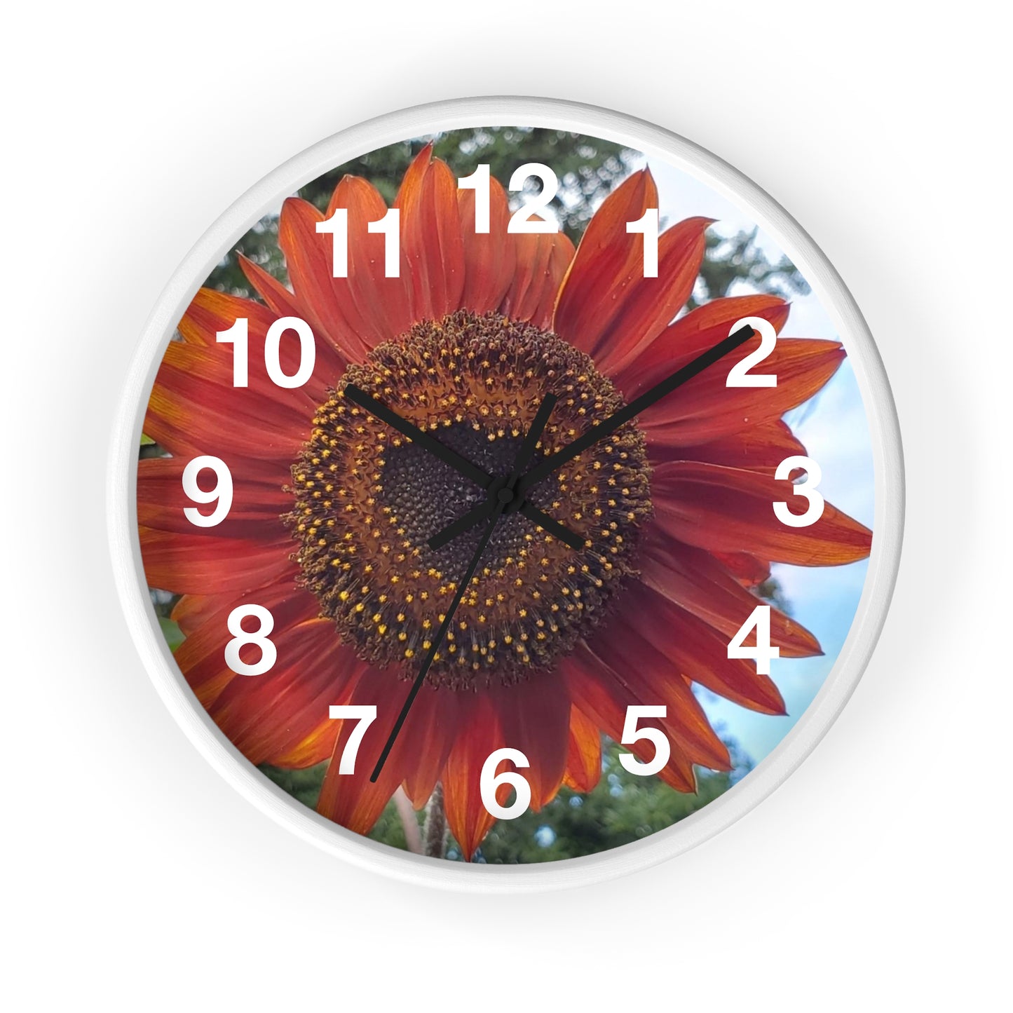 Heart Sunflower Wall Clock (Enchanted Exposures By Tammy Lyne)