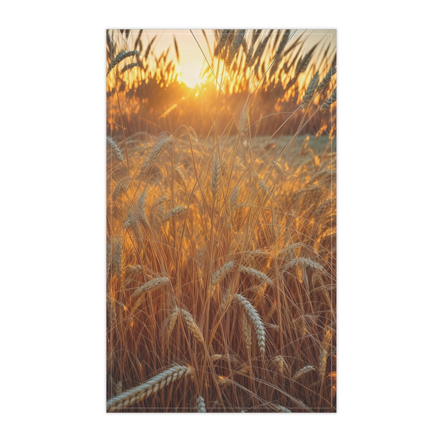 Golden Wheat Kitchen Towel (SP Photography Collection)