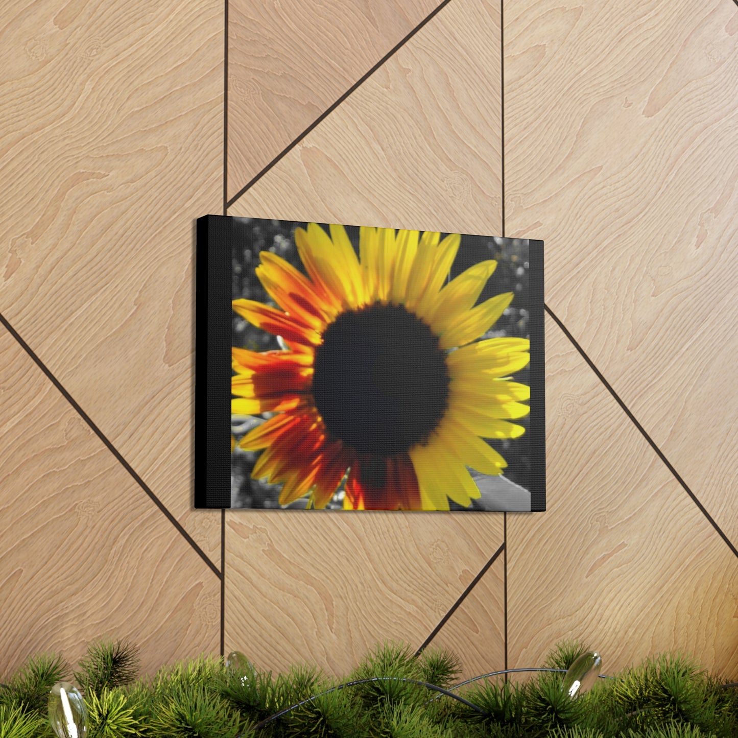 Mixed Sunflower Canvas Gallery Wraps Black (Enchanted Exposures by Tammy Lyne)