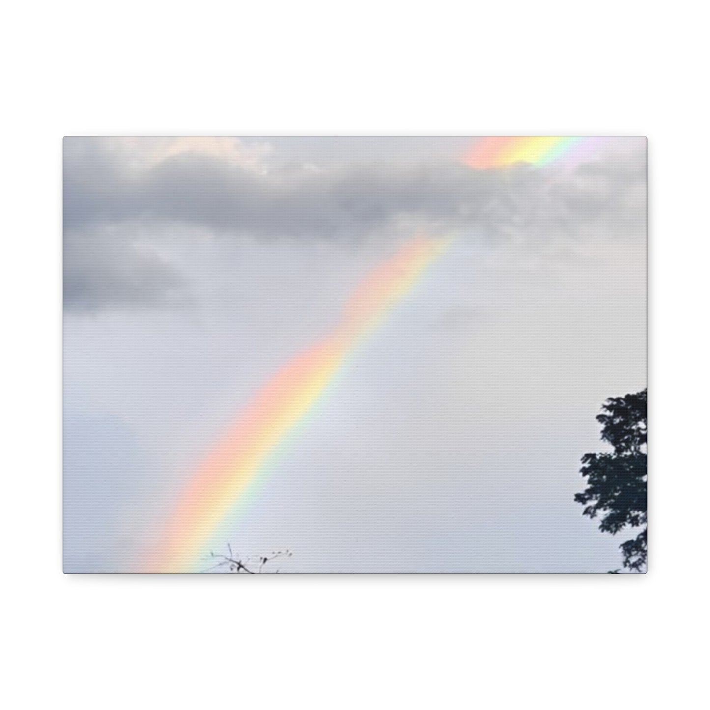 Rainbow Canvas Gallery Wraps Black (Enchanted Exposures By Tammy Lyne)