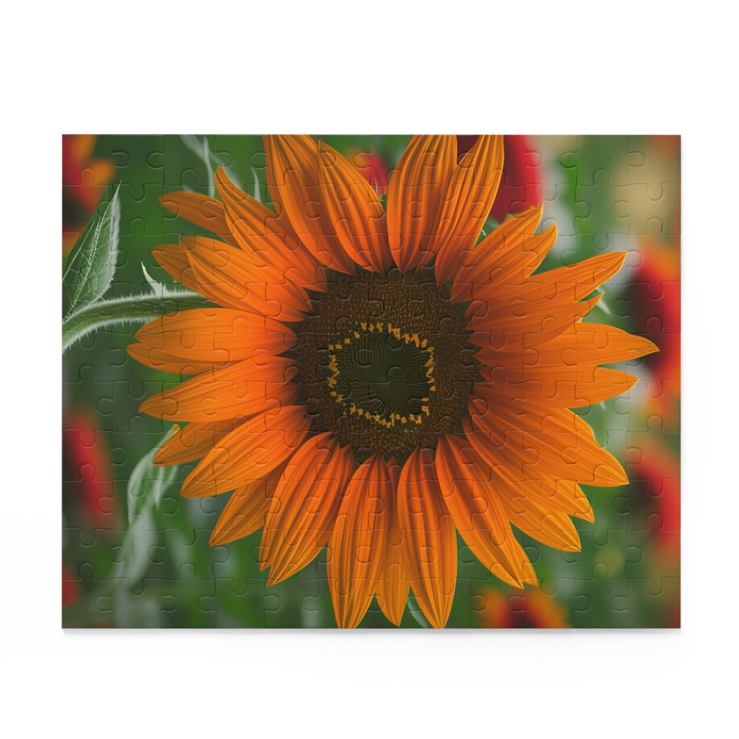 Orange Sunflower Puzzle (SP Photography Collection) (120, 252, 500-Piece)