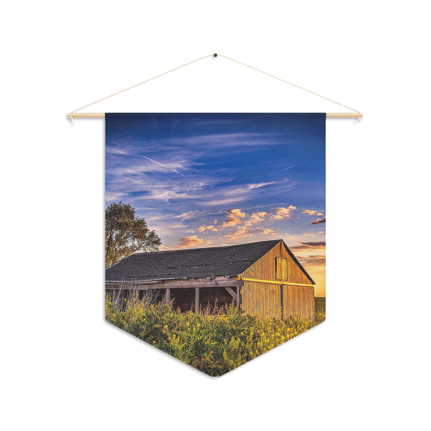 Grassy Barn Pennant (SP Photography Collection)