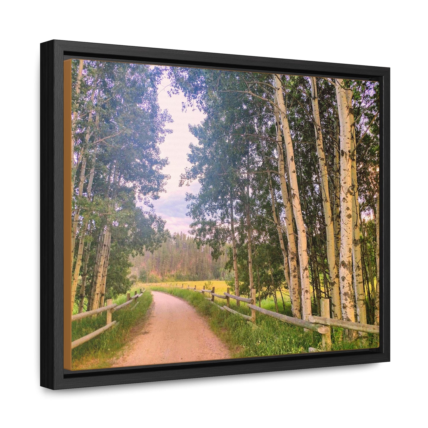 Country Road Canvas, Horizontal Frame (SP Photography Collection)