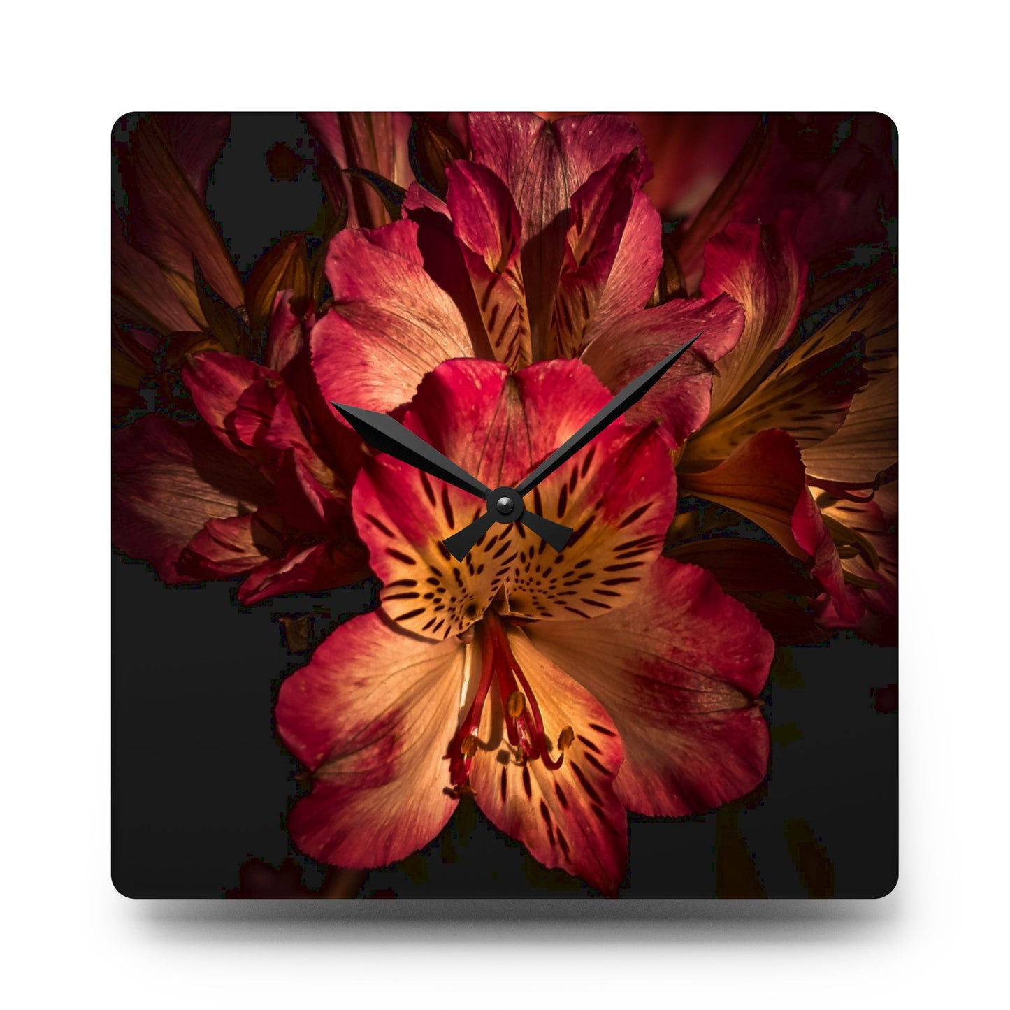 Pink Lily Wall Clock (SP Photography Collection)