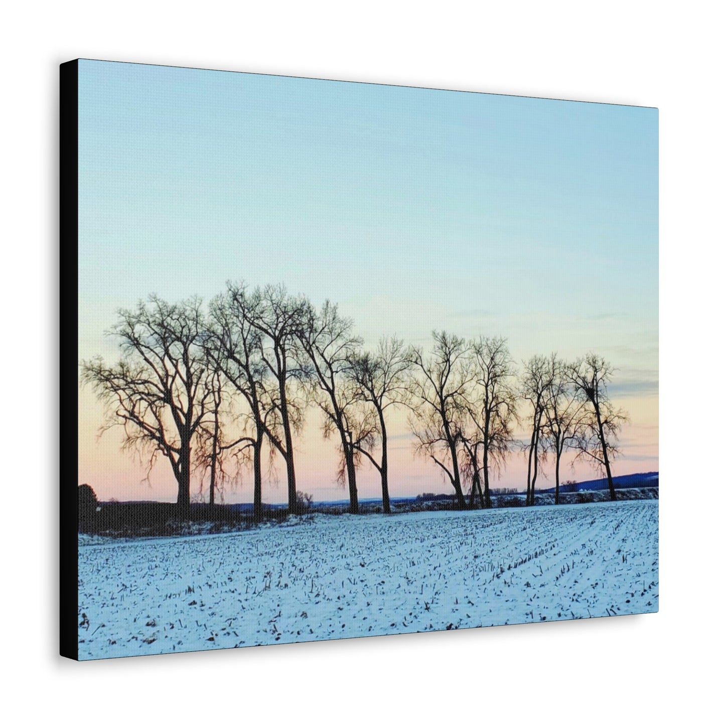 Snowy Tree Line Wrap Canvas (Enchanted Exposures By Tammy Lyne)