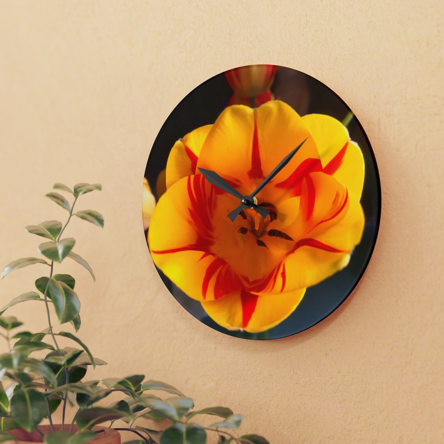 Mixed Tulip Acrylic Wall Clock (B & J Collections)