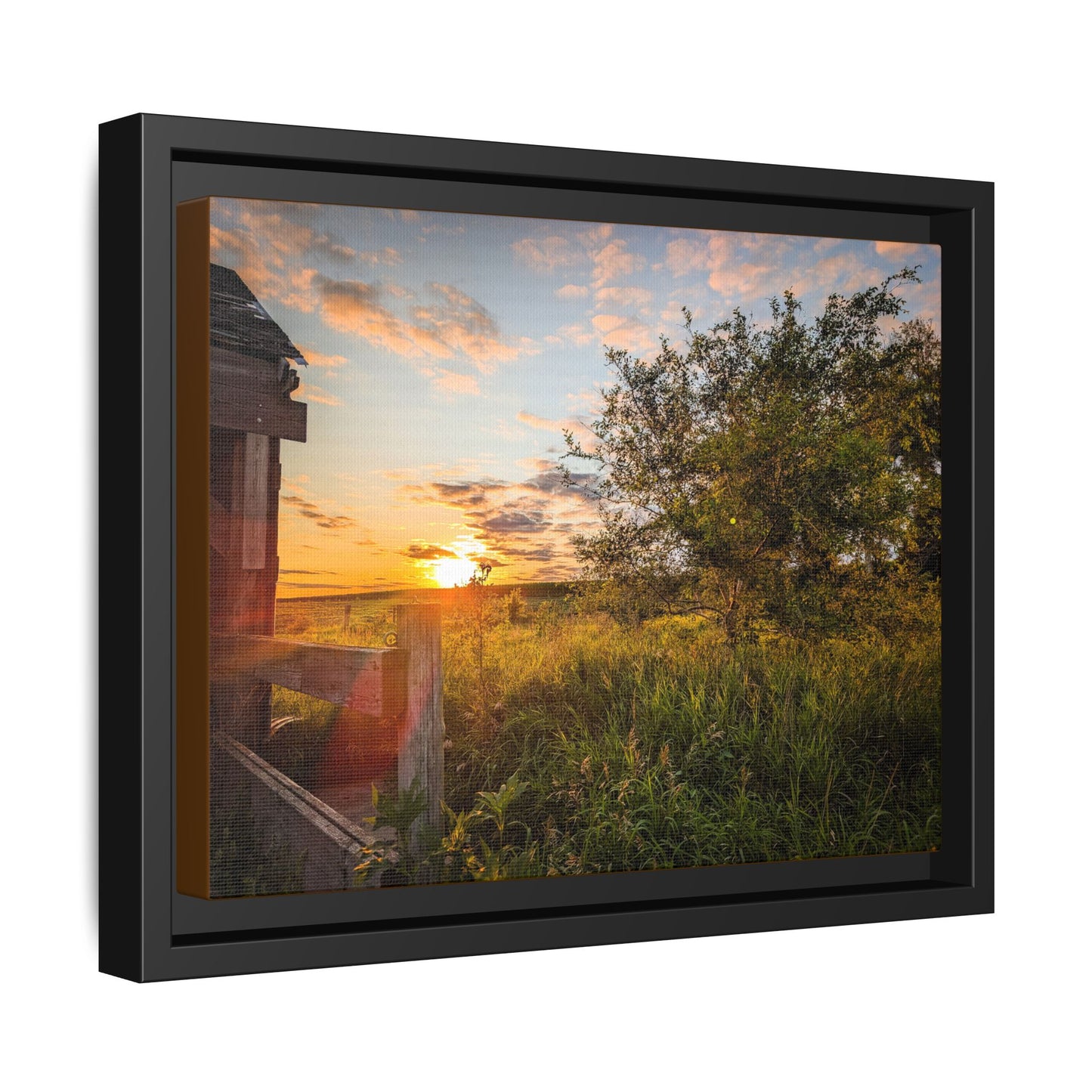 Fence Matte Canvas, Framed (Multi-color) (SP Photography Collection)