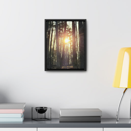 Into the trees Canvas Wraps, Vertical Frame (Enchanted Exposures By Tammy Lyne) BLACK