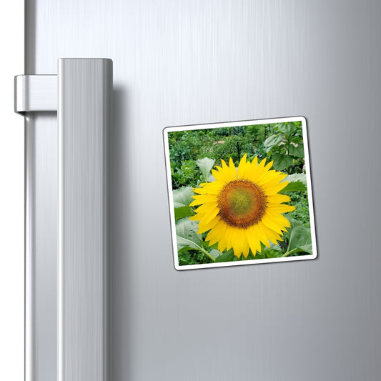 Yellow Sunflower Magnet (Enchanted Exposures By Tammy Lyne)