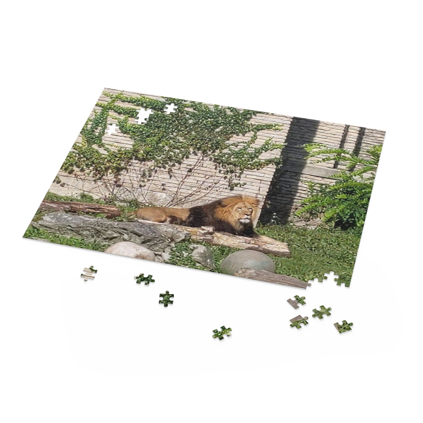 Lion Puzzle (B & J Collections) (120, 252, 500-Piece)