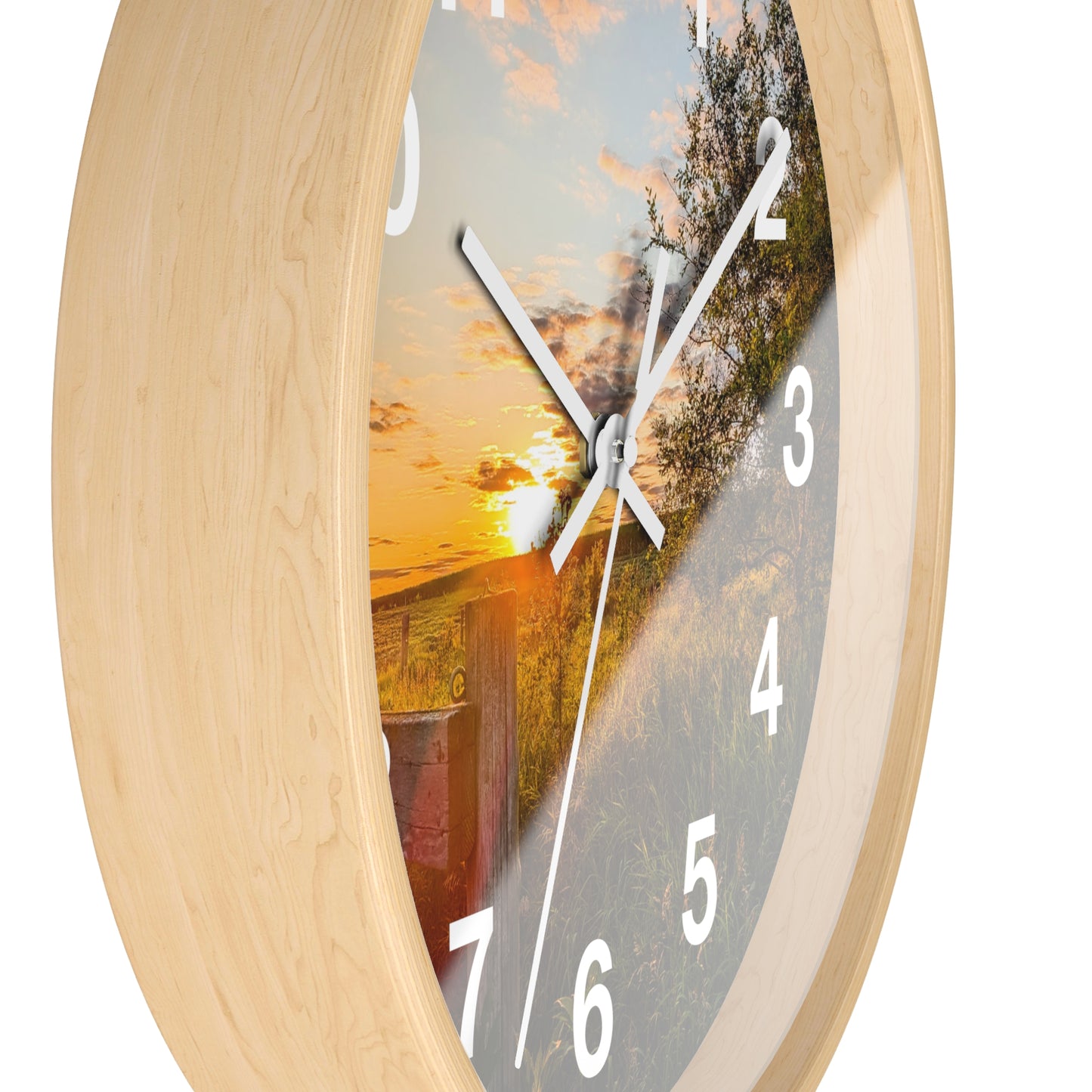 Fence Clock (SP Photography Collection)