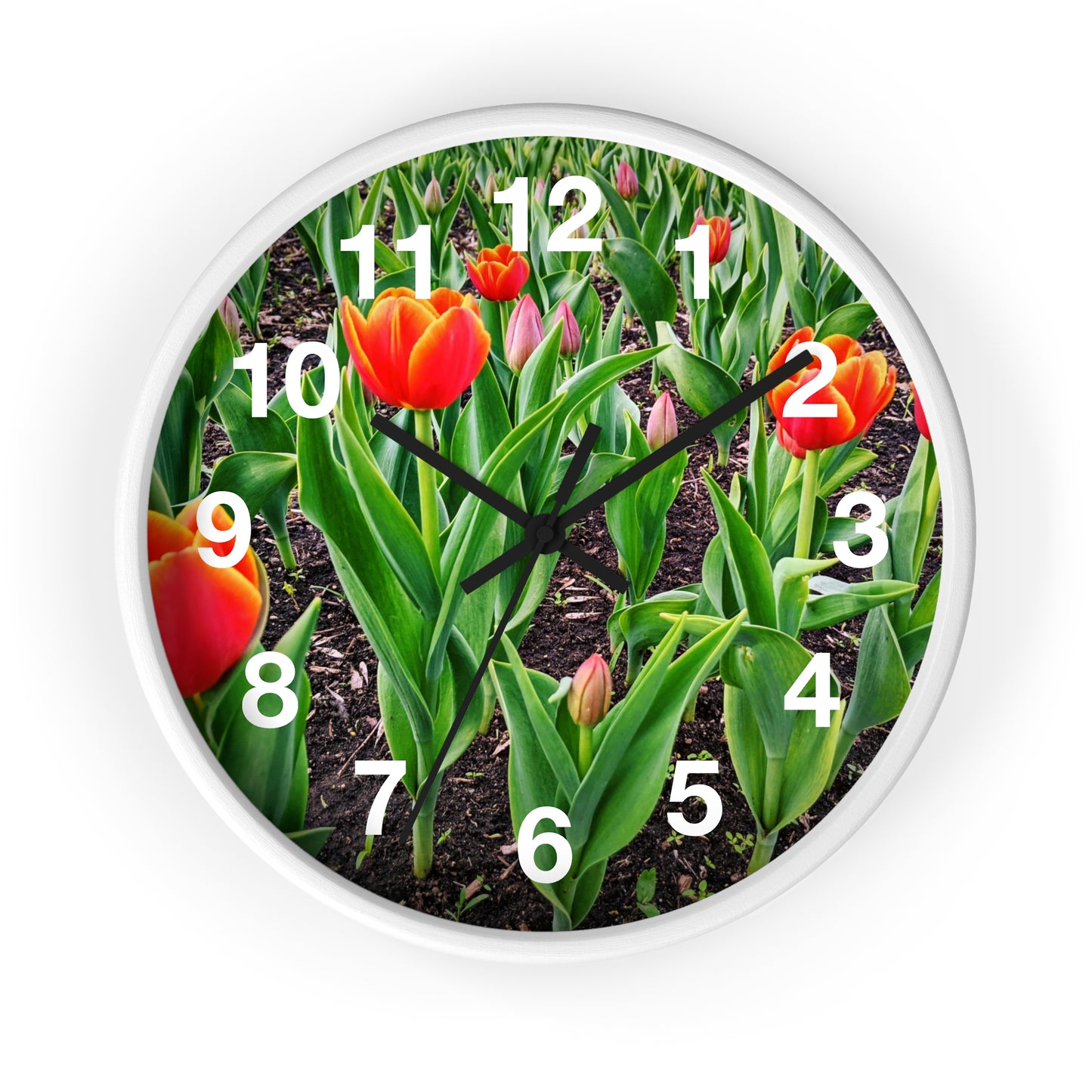 Red Tulips Wall Clock (SP Photography Collection)