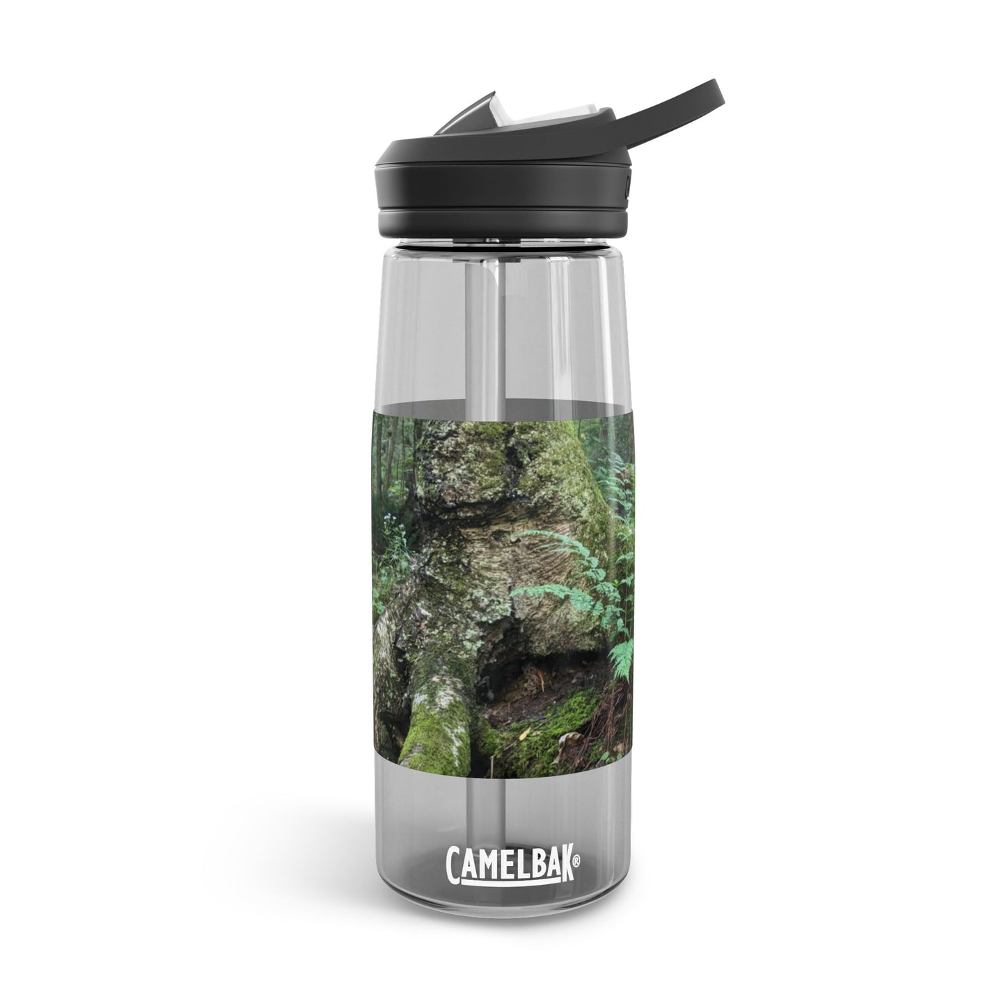 Forest Fern CamelBak Eddy®  Water Bottle, 25oz (Savor The Moment Collection)